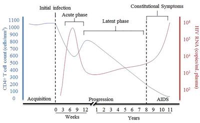 Interaction of the Host and Viral Genome and Their Influence on HIV Disease